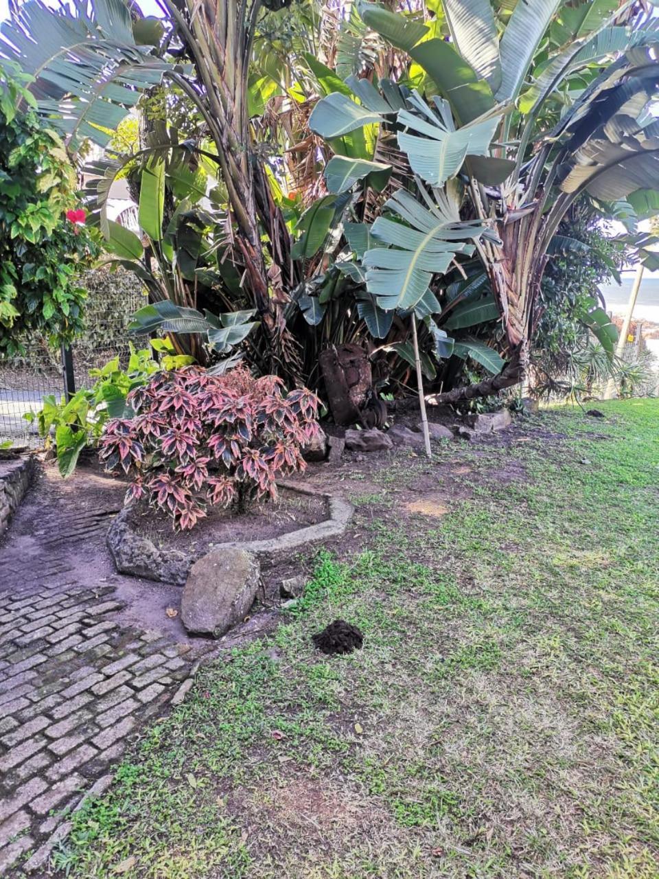 Villa Del Sol Margate Eksteriør billede